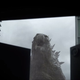 Image for article titled Who are the other monsters in the new Godzilla trailer?